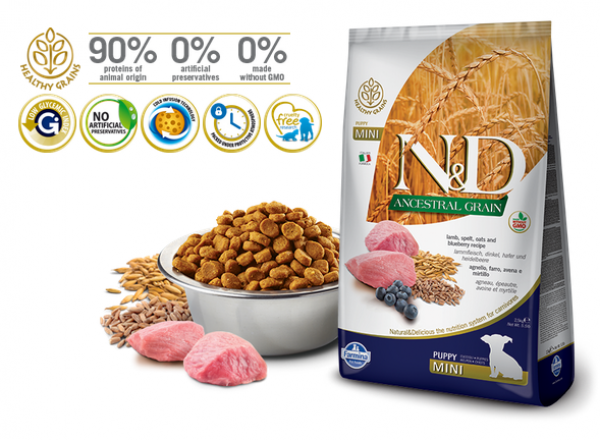 N&D Suva hrana LG Puppy Mini Lamb&Blueberry 800 g