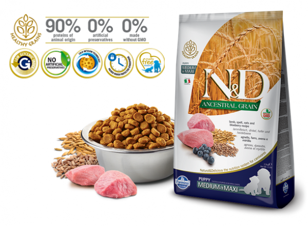 N&D Suva hrana LG Puppy Medium and Maxi Lamb&Blueberry 12 kg