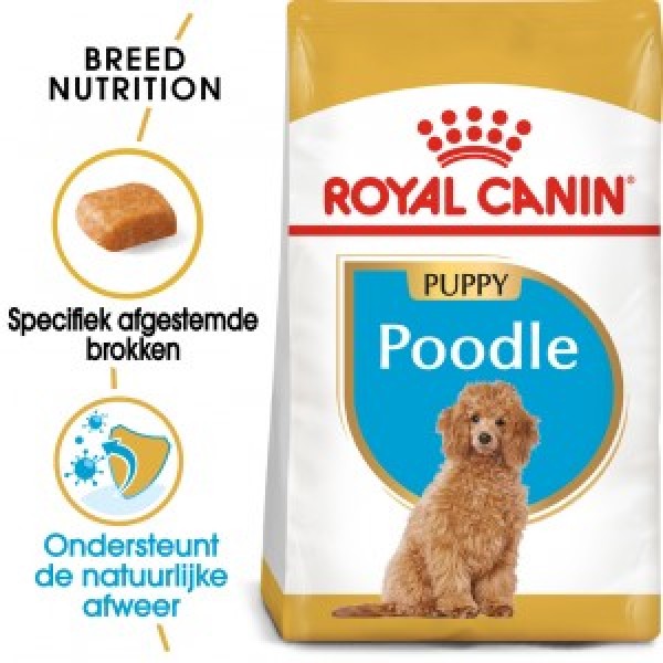 Royal Canin Suva hrana za pse Poodle Puppy 500gr.